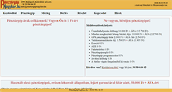 Desktop Screenshot of penztargepnagyker.hu